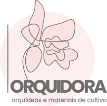 Minha Loja